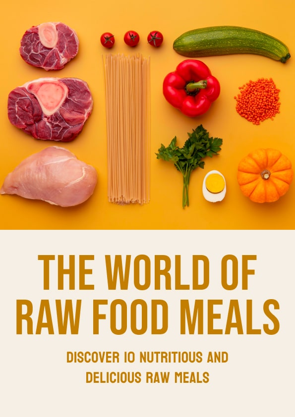 The World of Raw Food Meals